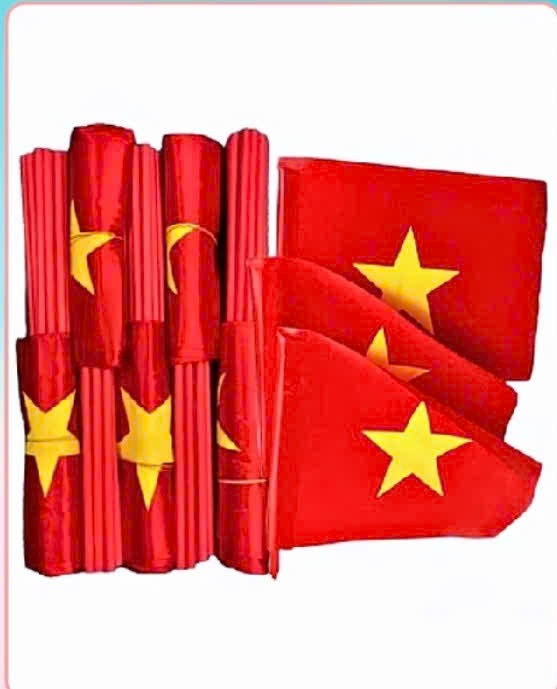 Cờ tổ quốc cầm tay