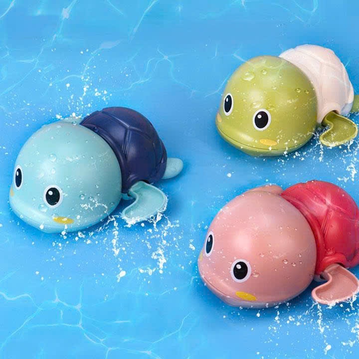 rùa mini bơi trong nước