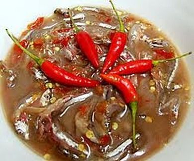 Mắm cá cơm
