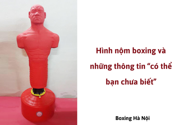 Hình nộm boxing và những thông tin “có thể bạn chưa biết”