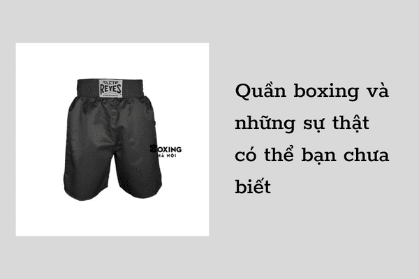 Quần boxing và những thông tin có thể bạn chưa biết