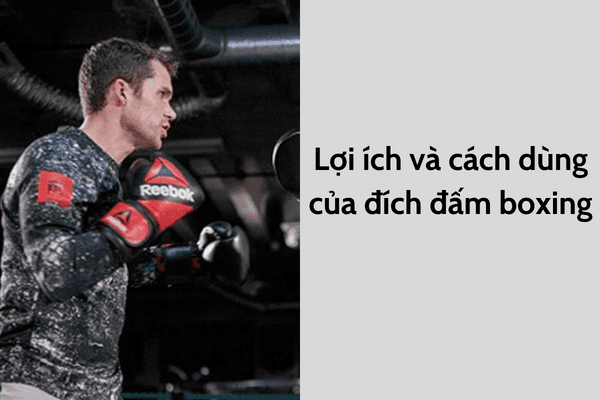 Lợi ích và cách dùng của đích đấm boxing