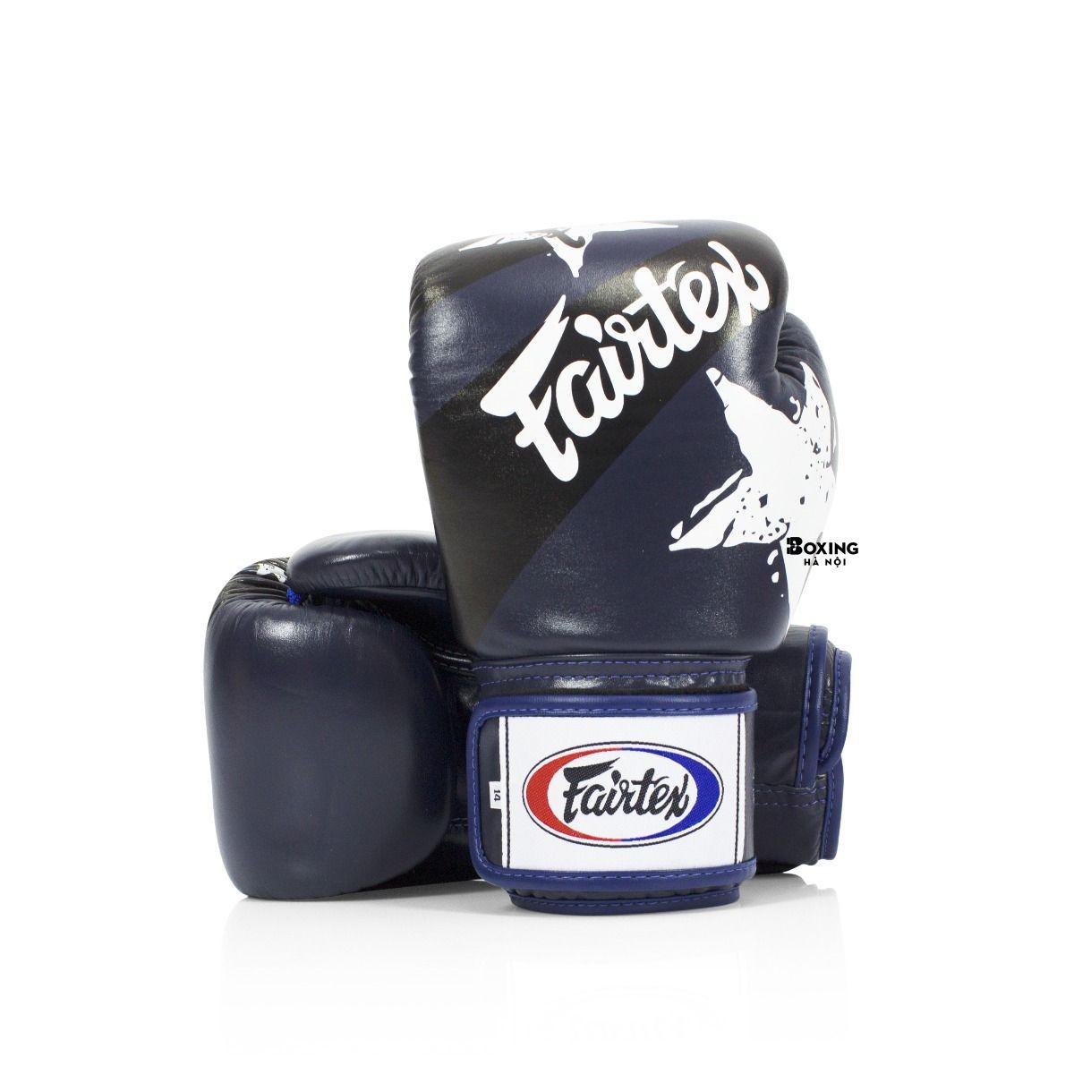 GĂNG TAY BOXING FAIRTEX NATION PRINTS