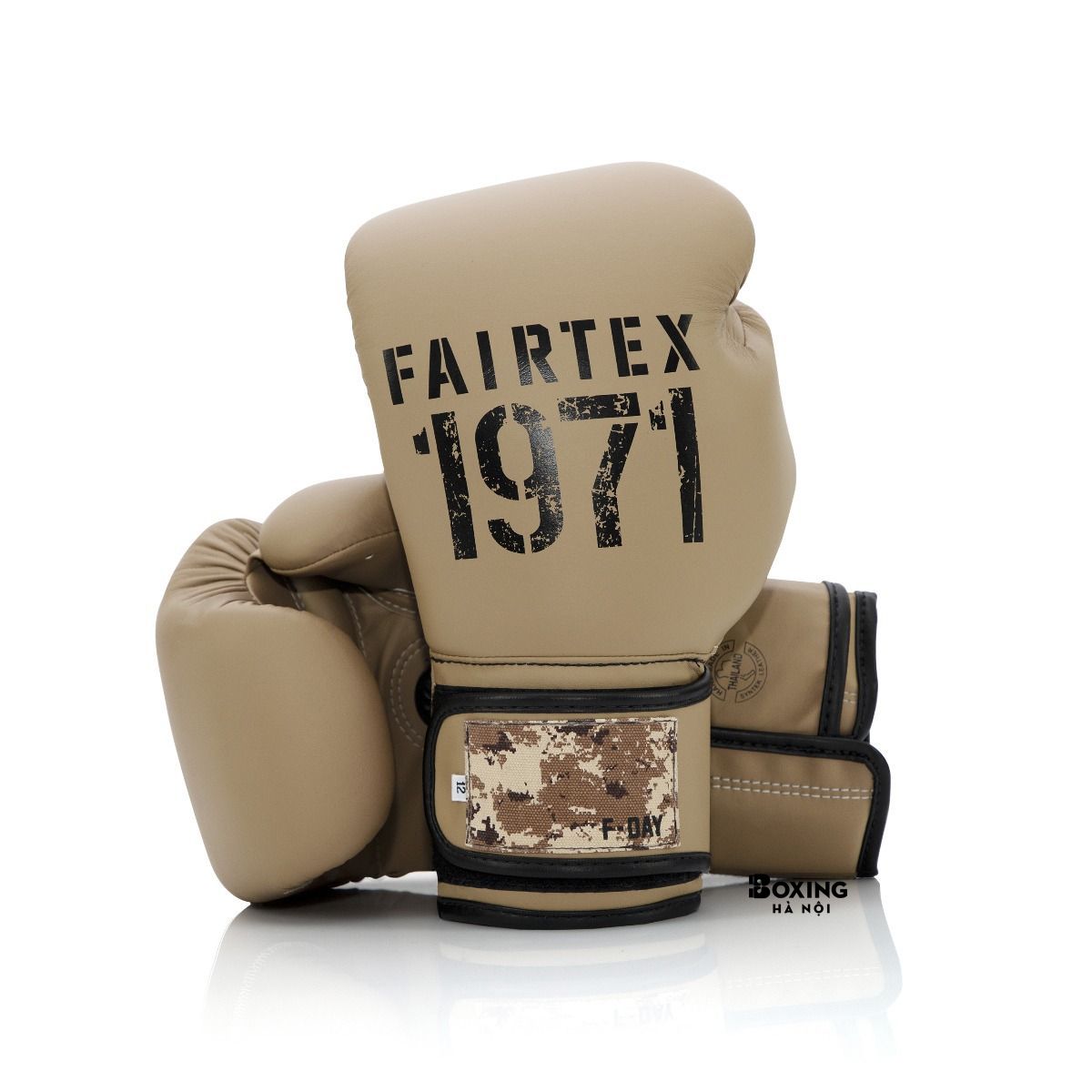 GĂNG TAY BOXING FAIRTEX F-DAY 2