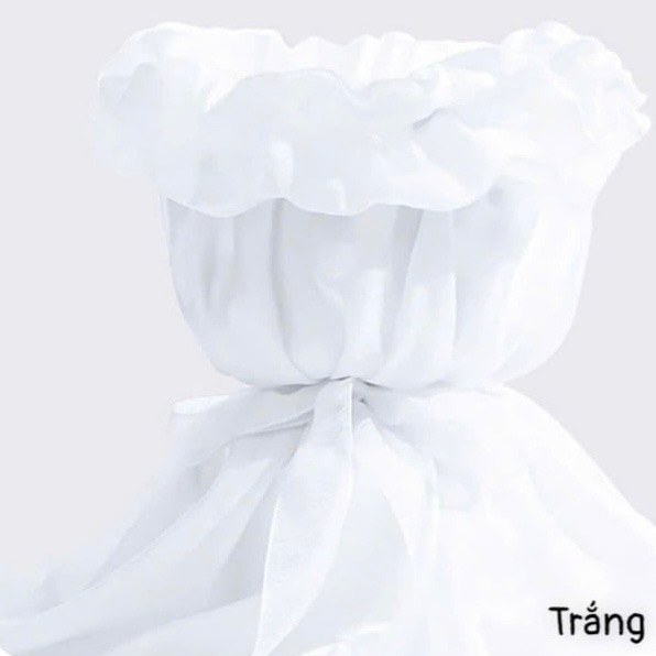 VOAN CỐT TRỤ