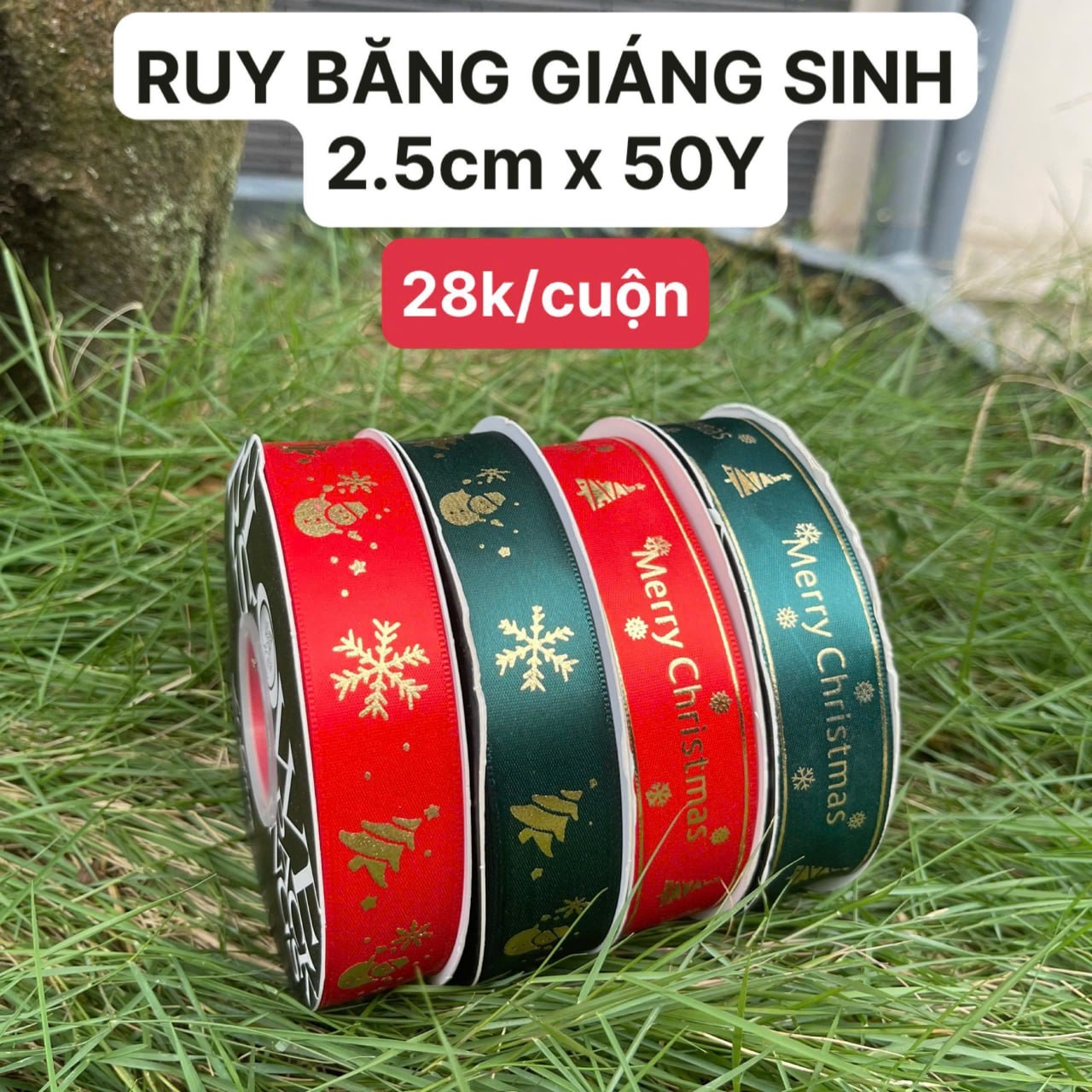 RUY BĂNG GIÁNG SINH 2.5cm 2024