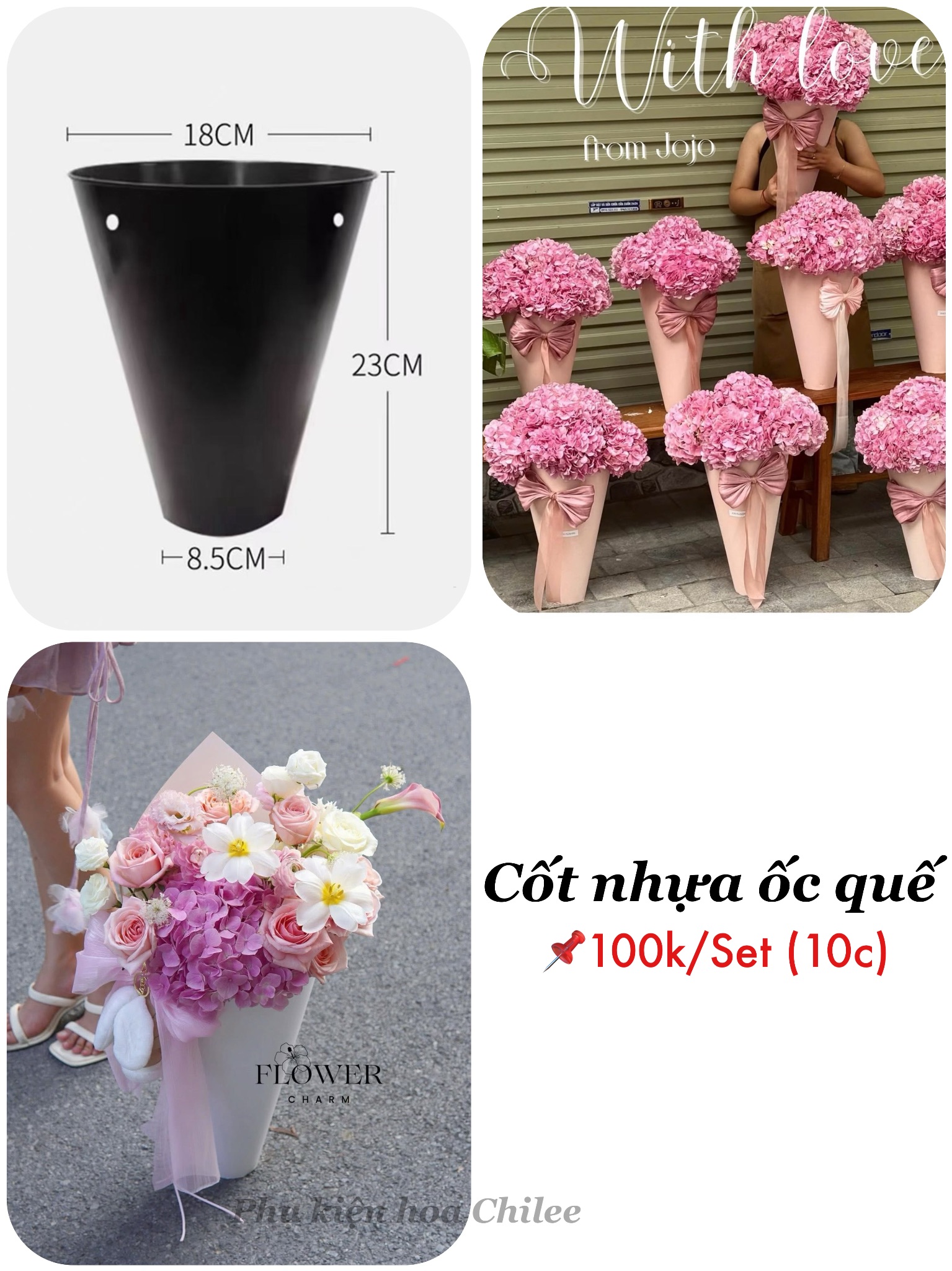 CỐT NHỰA ỐC QUẾ