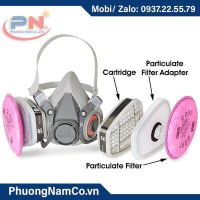 Particulate Filter 2097, P100