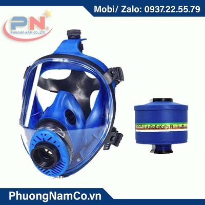 TR 2002 European Import - BVH0037 Final Full Reusable Face Mask Italy, Mold, Paint, Sanding, Chemical, Gas, Dust, Medium