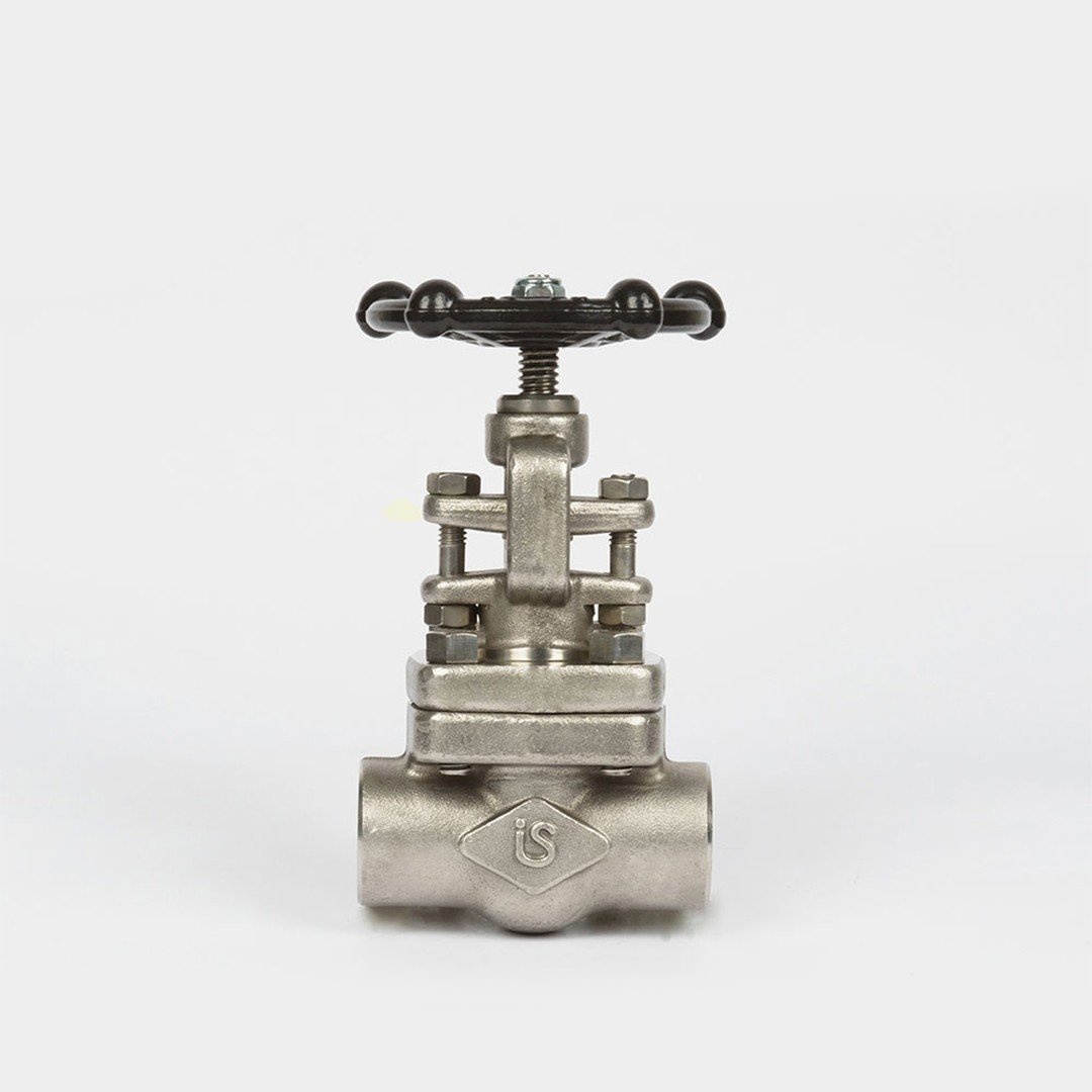 Globe Valve - API 800/1500