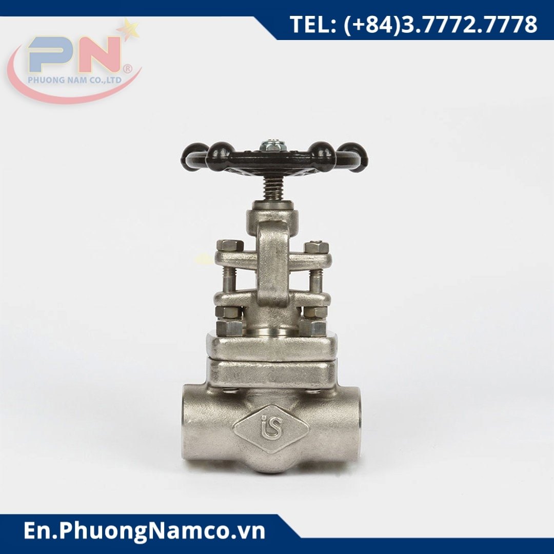 Globe Valve - API 800/1500