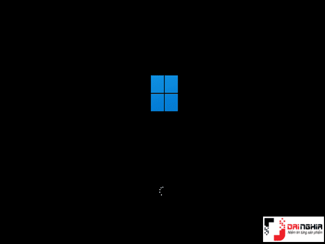 Windows 11