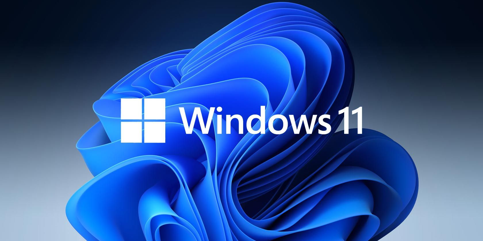 Lỗi máy in không in được trên windows 11