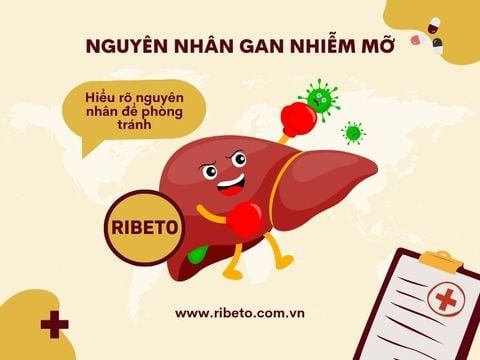 Nguyên nhân gan nhiễm mỡ - hiểu rõ để phòng tránh