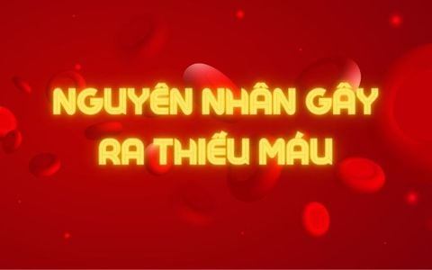 Nguyên nhân thiếu máu: Hiểu biết để phòng ngừa và điều trị