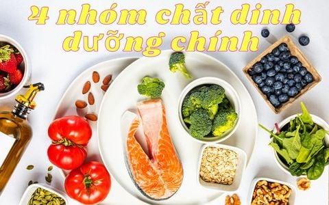 Tìm hiểu về 4 nhóm chất dinh dưỡng chính: Bí quyết cho sức khỏe