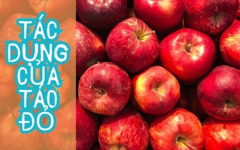 Khám phá tác dụng của táo đỏ đối với sức khỏe