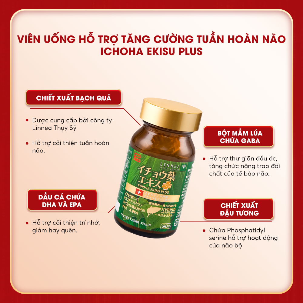 ICHOHA EKISU PLUS 1.png