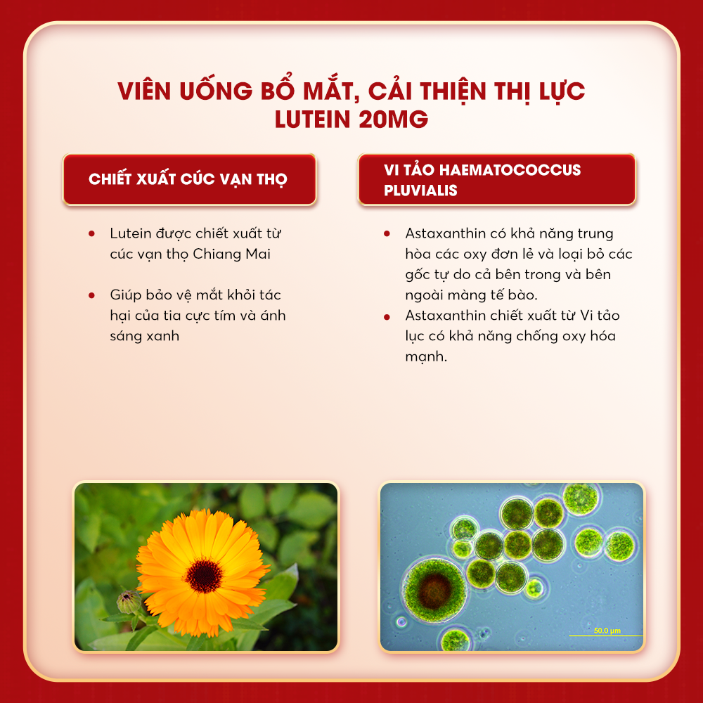 LUTEIN 20 MG 2.png