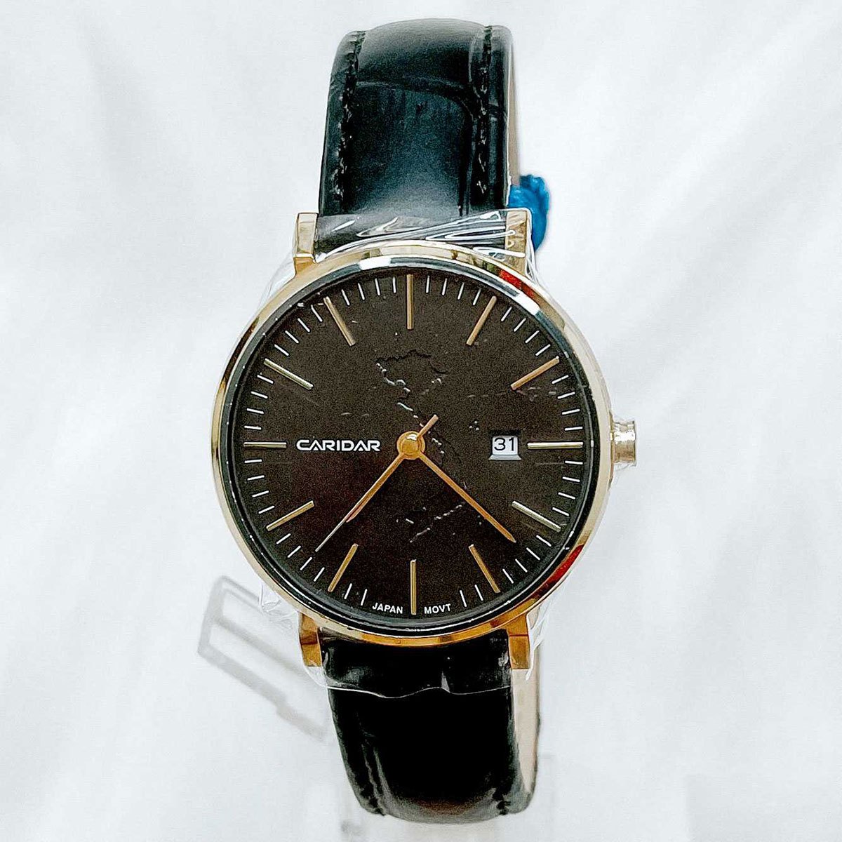 đồng hồ nữ Caridar CLASSIC S MAP DIAL CAR776LL-VD