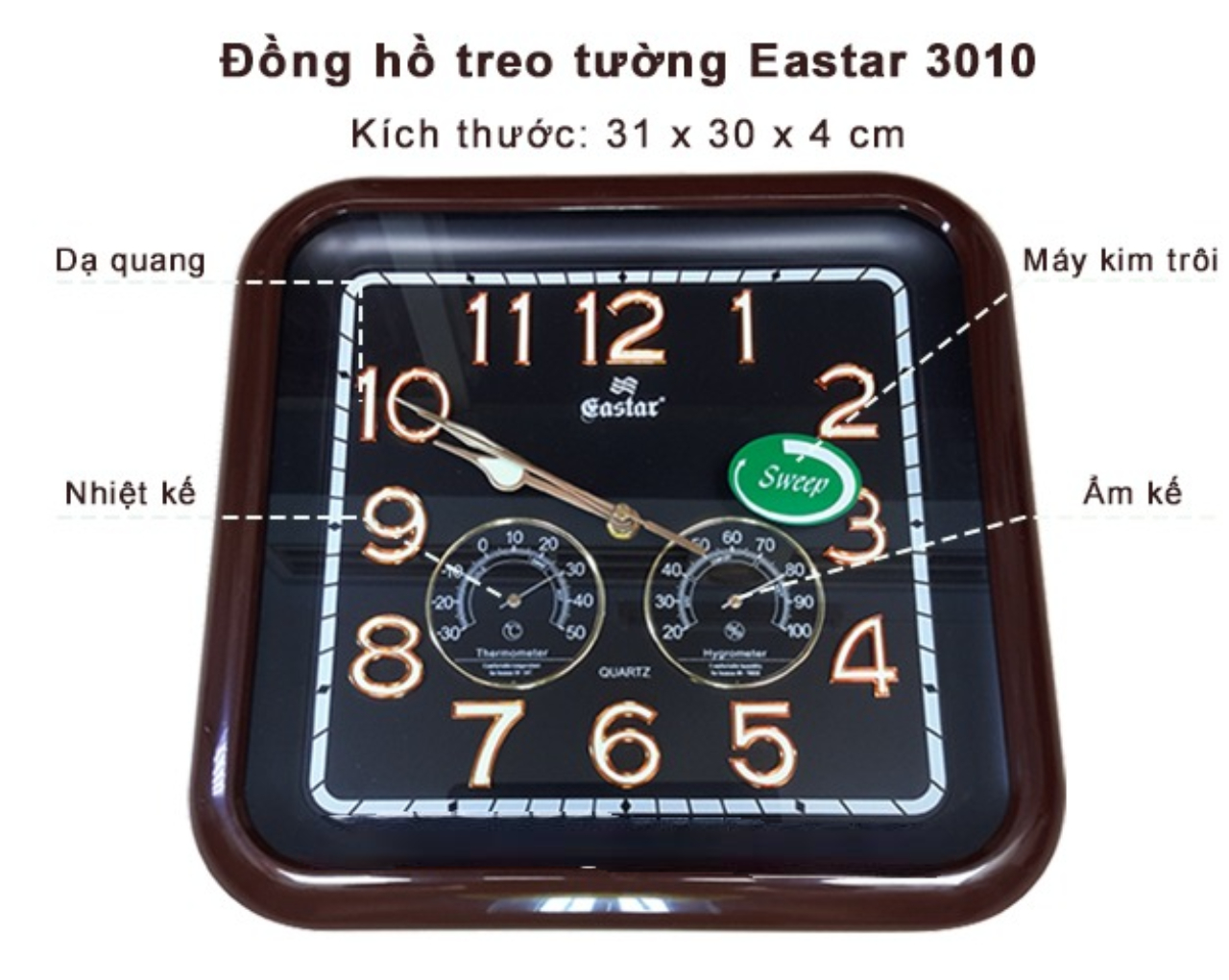 đồng hồ treo tường easter CAO CẤP KIM TRÔI CÓ NHIỆT ẨM KẾ CƠ (KHÔNG DÙNG PIN) - 3010B