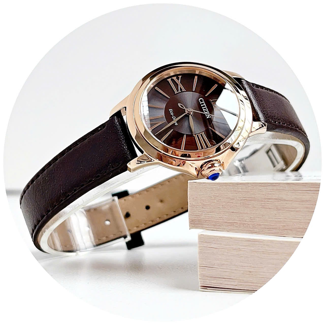 Citizen Ceci Eco-Drive