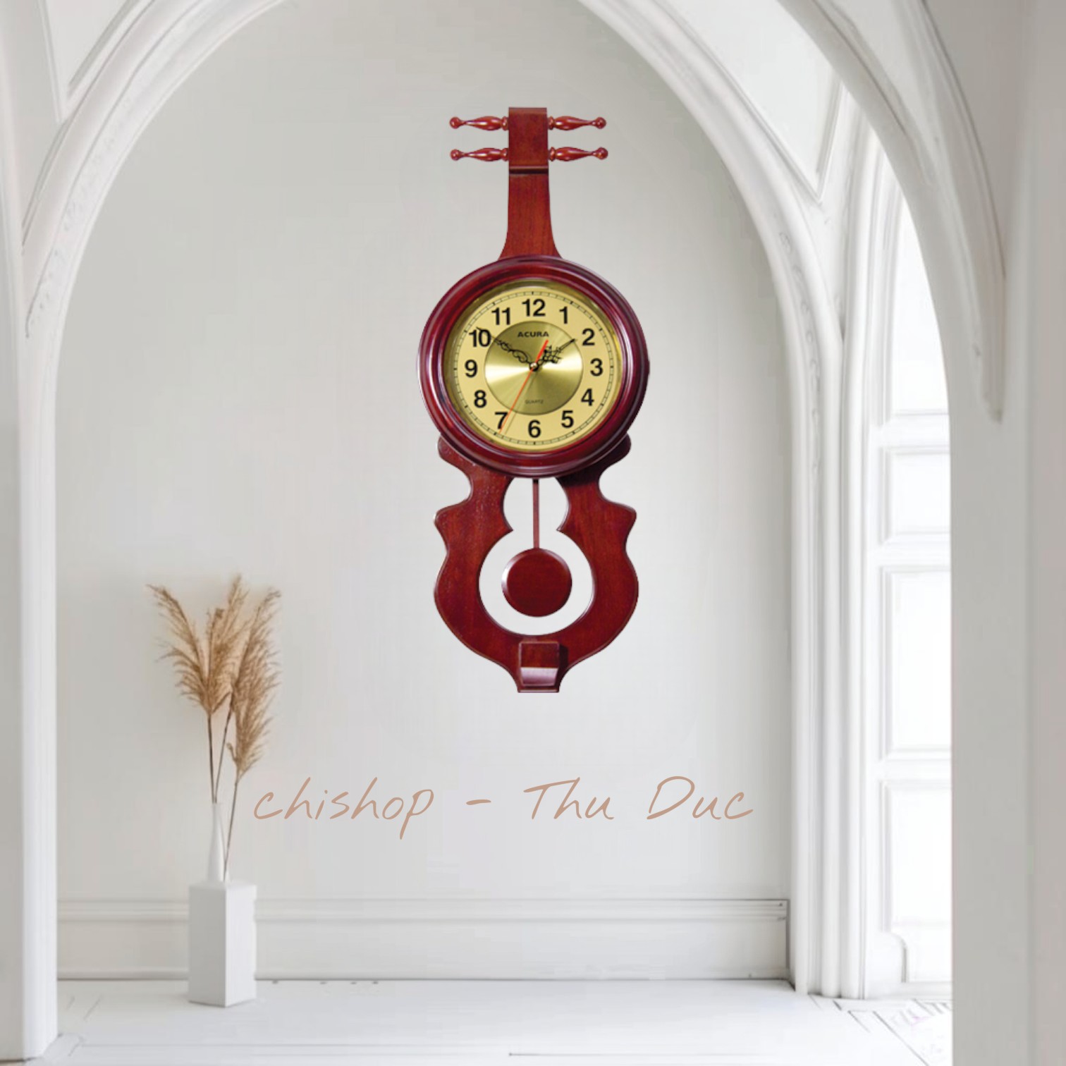violin d501 số thường