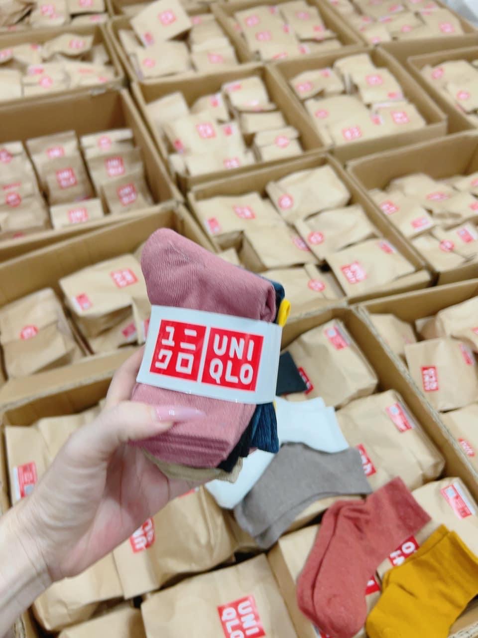 TẤT UNIQLO