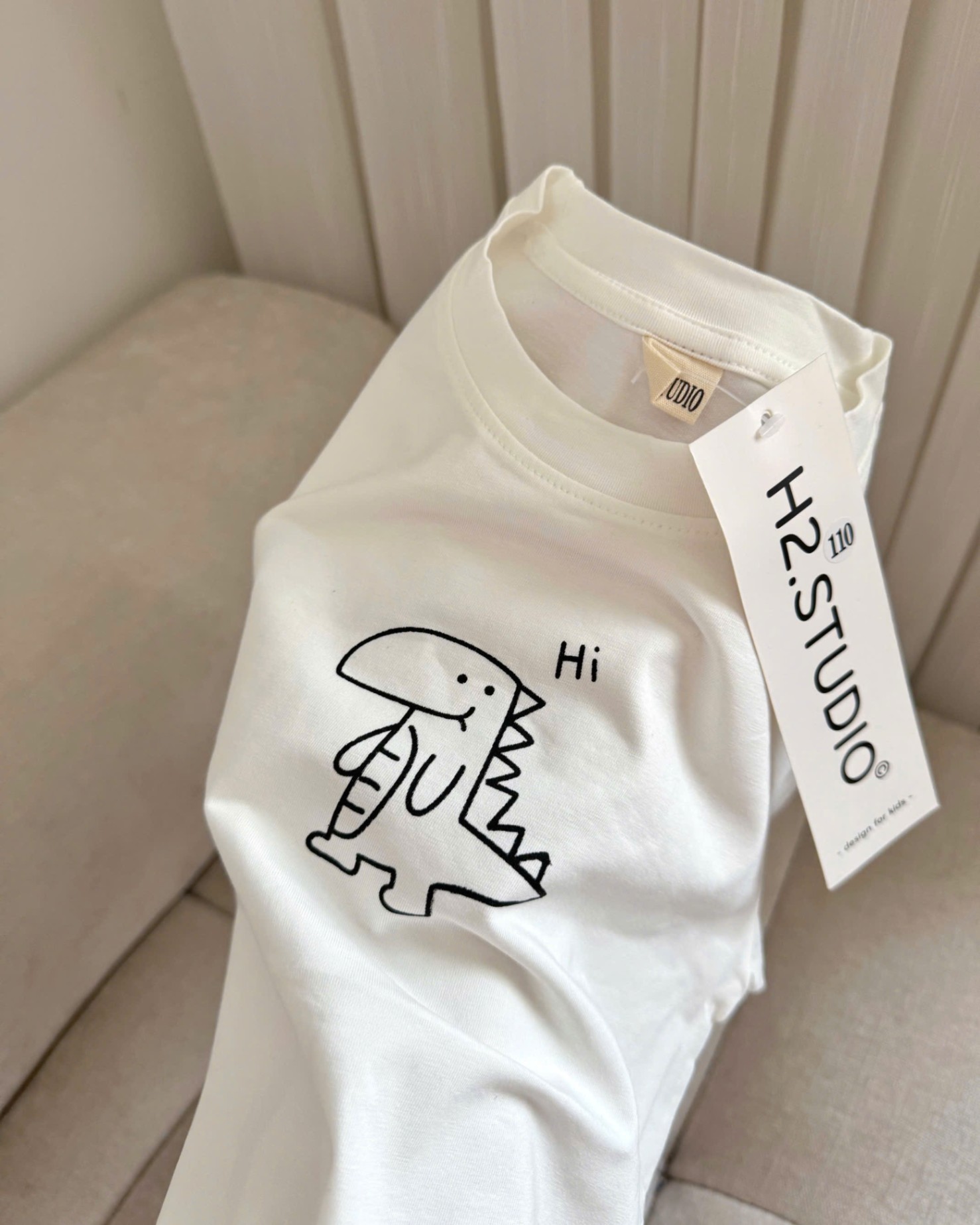 S27# Set bộ cotton bé trai in khủng long