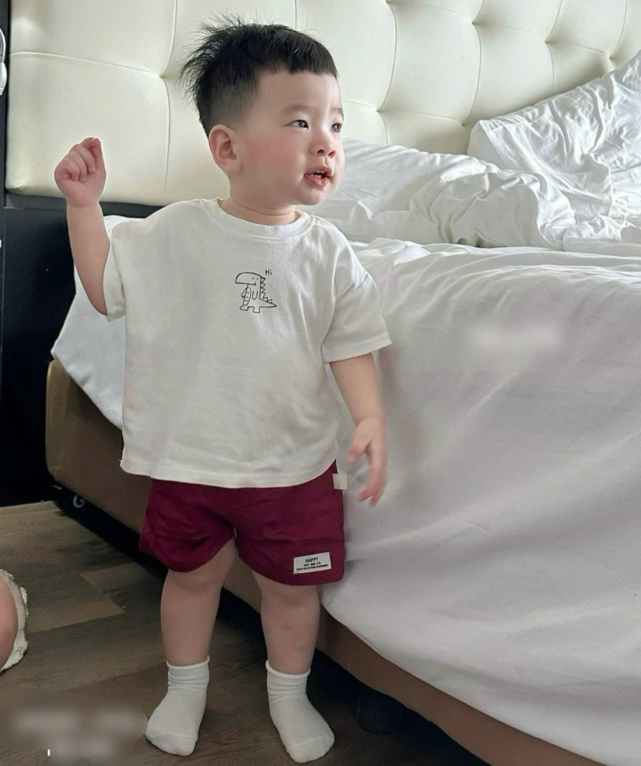 S27# Set bộ cotton bé trai in khủng long