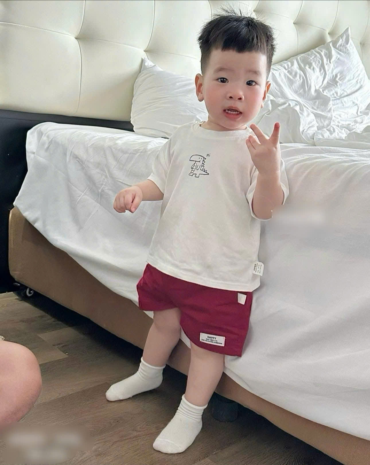 S27# Set bộ cotton bé trai in khủng long