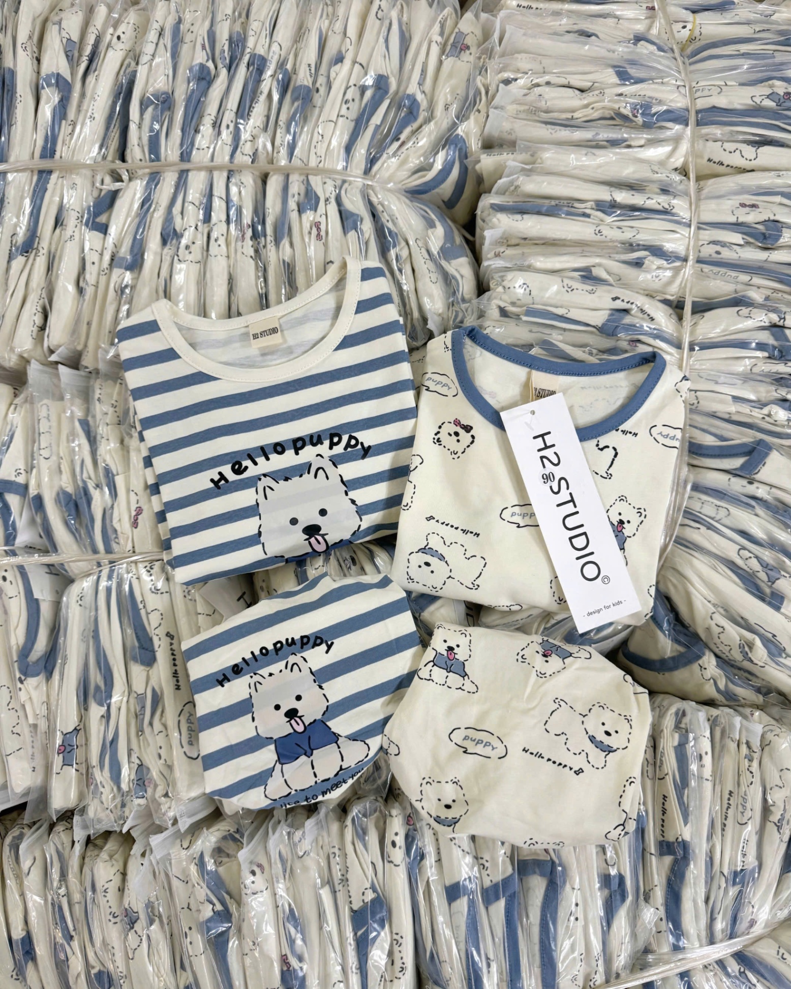 SB889# Set 2 bộ Hello Puppy bé trai