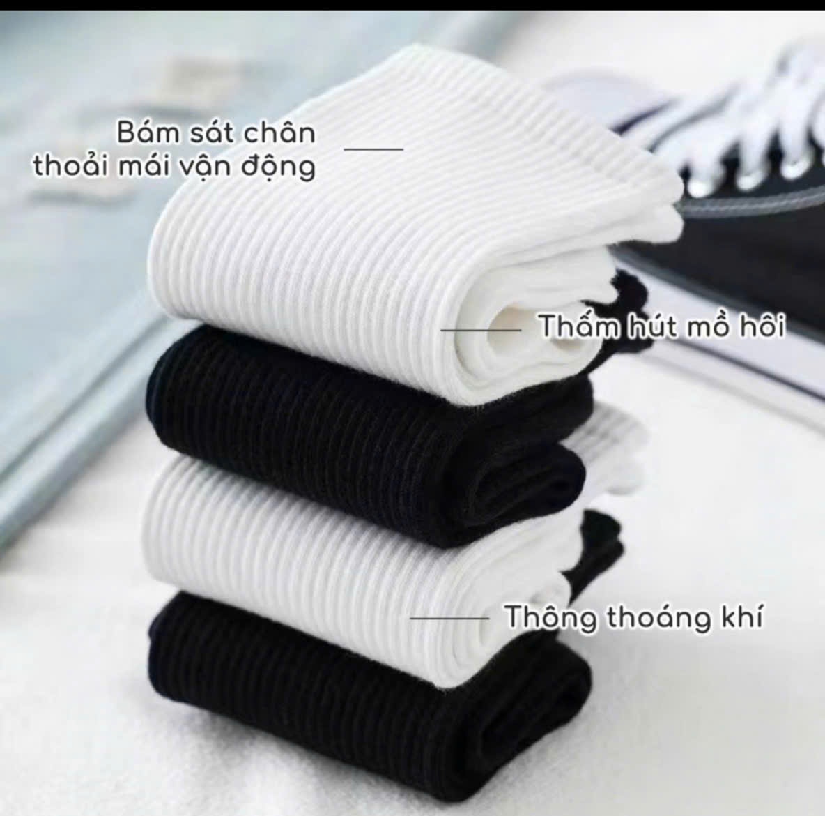 Tcn10 Set 10 đôi tất trắng trơn