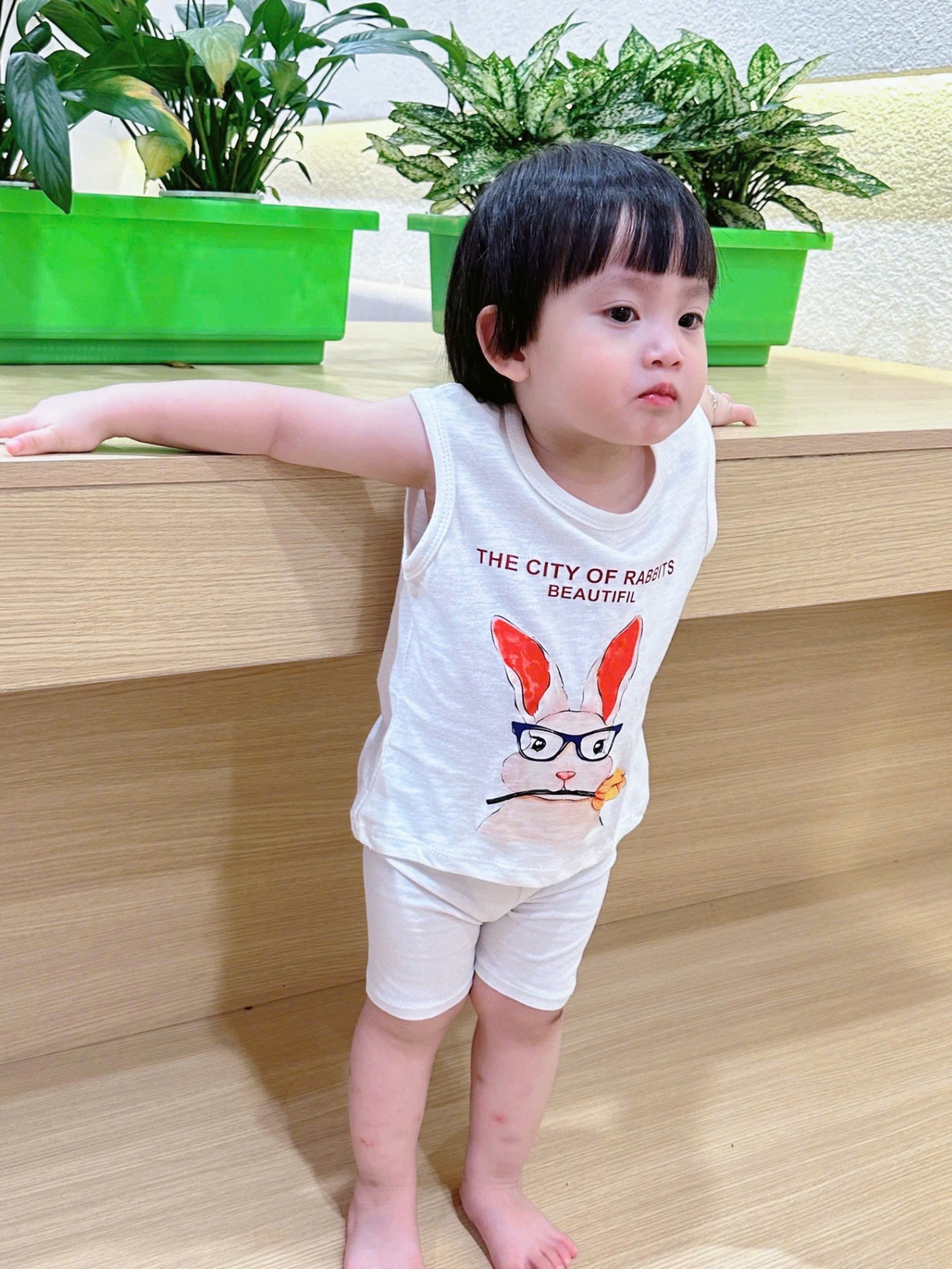 Bbg22 Set 4 áo cotton xước Bunny cho bé gái