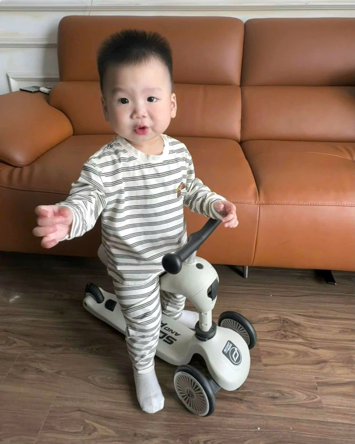 CV - SD09 set 3 DT bộ oto cần cẩu