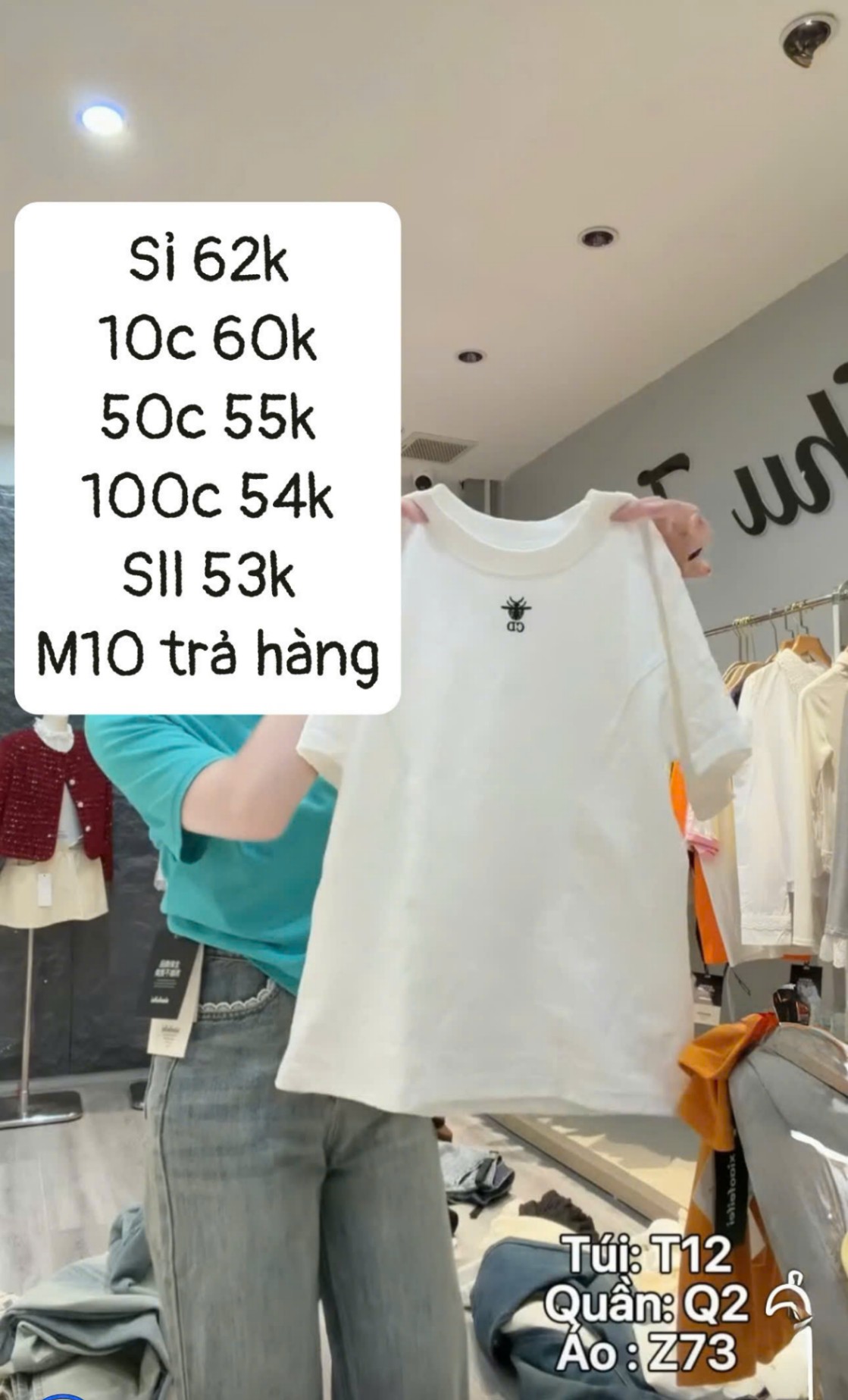 CD22 ÁO COTTON MỚI BO CỔ BO XỊN CD