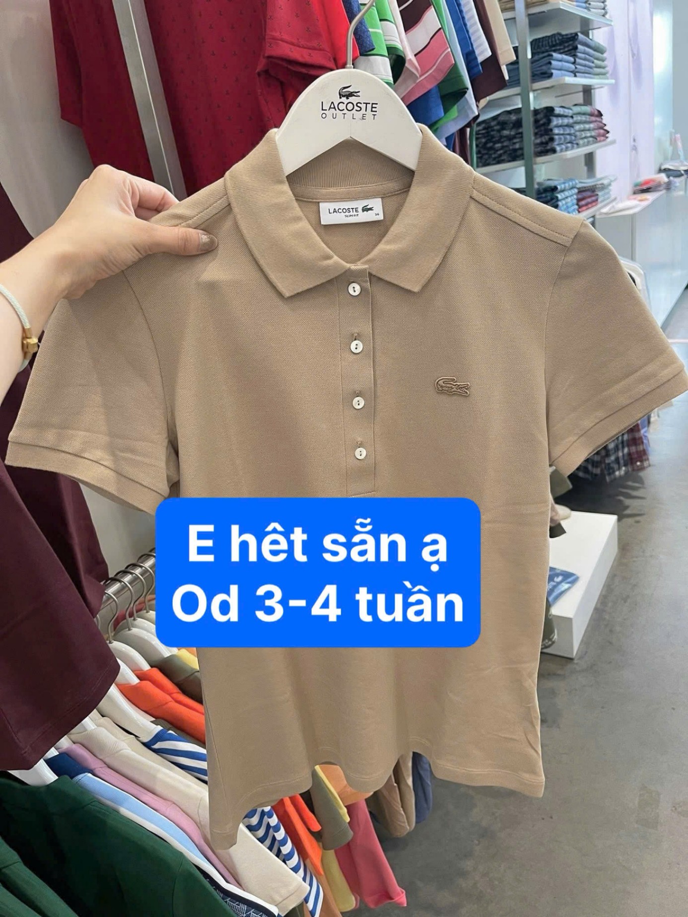 CV -PL41 ÁO POLO CÁ SẤU BE