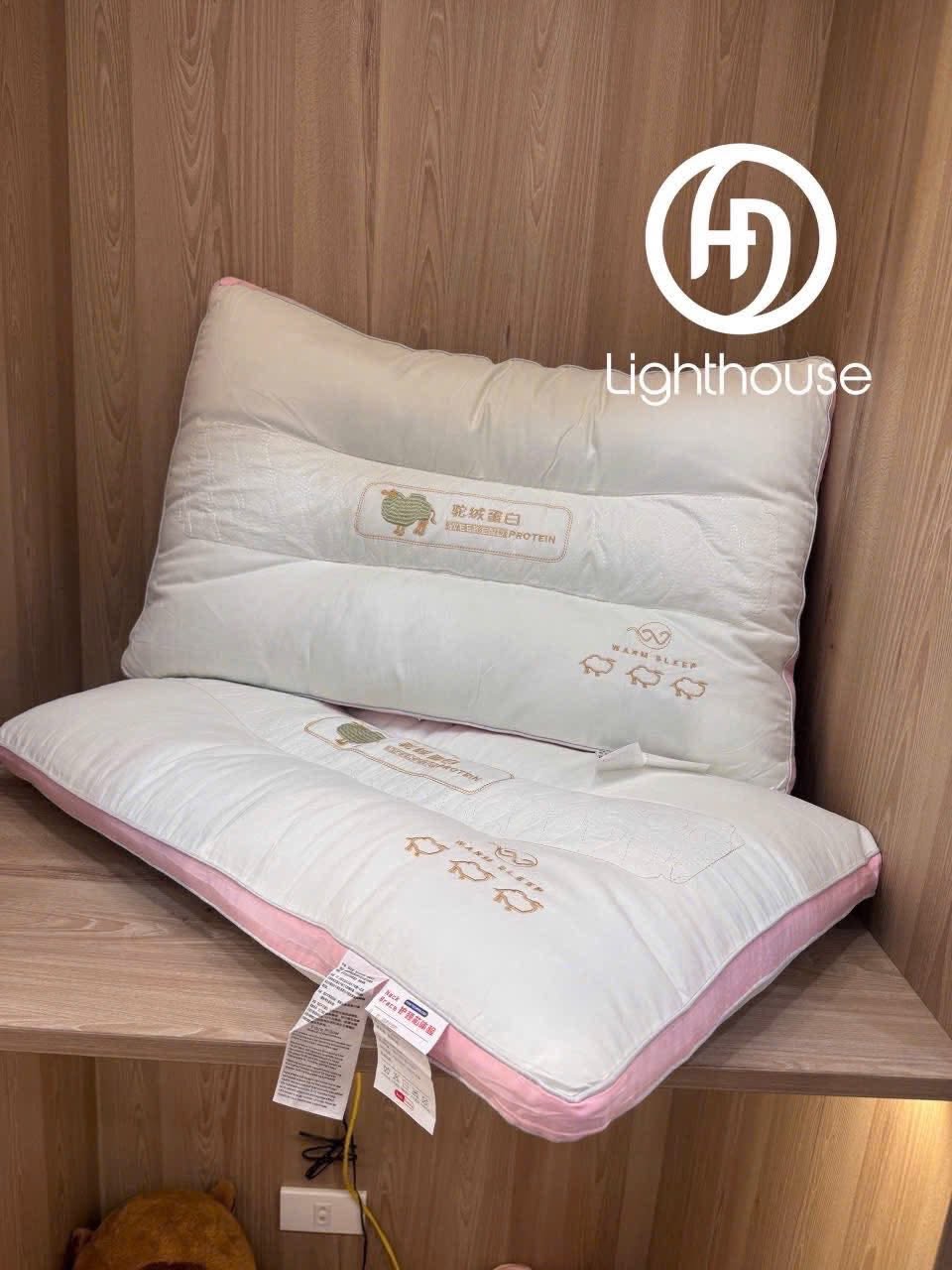 CV - G12 SET 2 GỐI