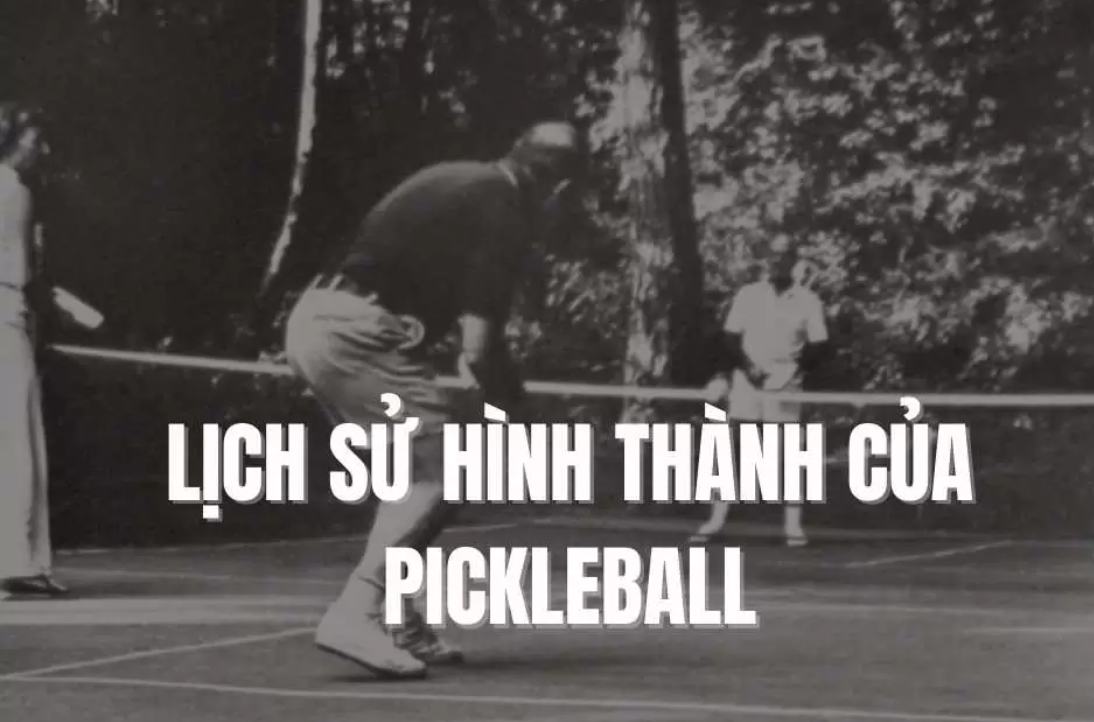 GIOI-THIEU-VE-BO-MON-PICKLEBALL-1.png