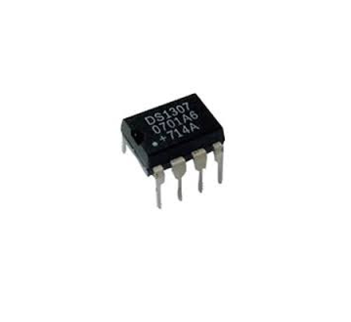 IC DS1307 dip