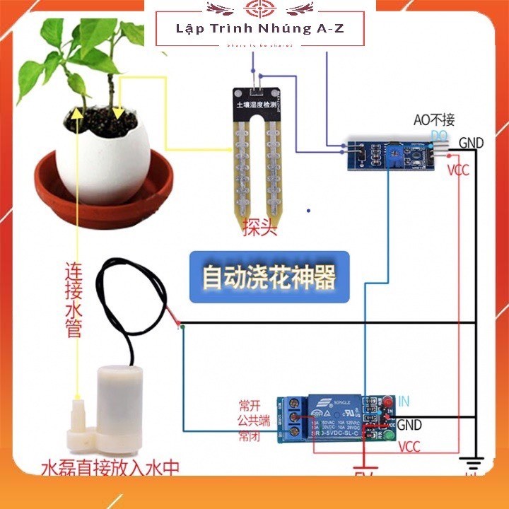 Bộ Cảm Biến Tưới Cây Tự Động Steam khoa học kỹ thuật