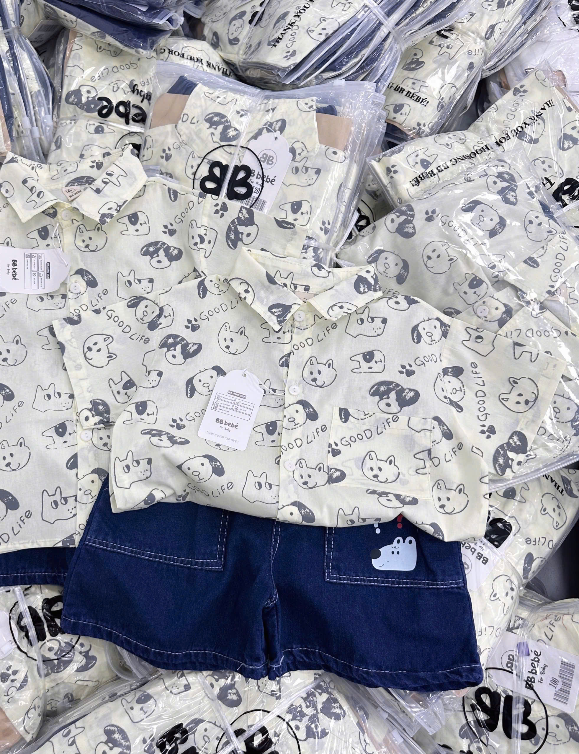 A213 - SET ÁO SƠ MI TRẮNG CHÓ TAI DÀI QUẦN BÒ