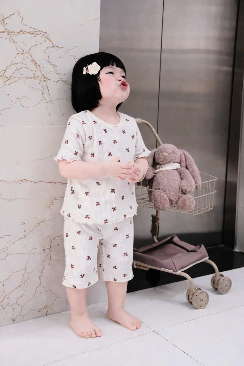 XẢ A327 - SET 2 BỘ HOA NHÍ TRẮNG HỒNG BG SIZE NHỠ
