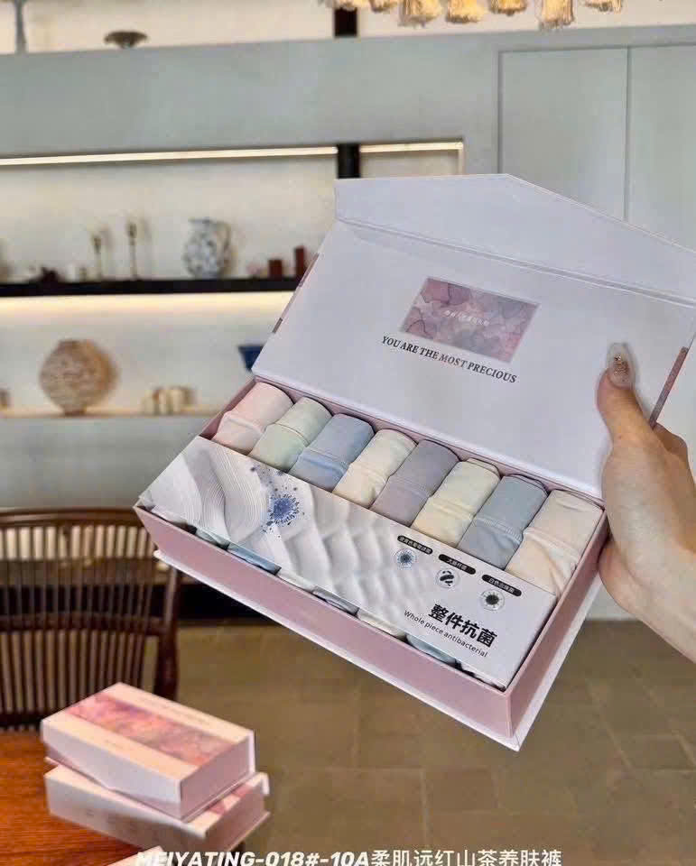 A691 - SET 8 QUẦN LÓT NỮ MÀU PASTEL
