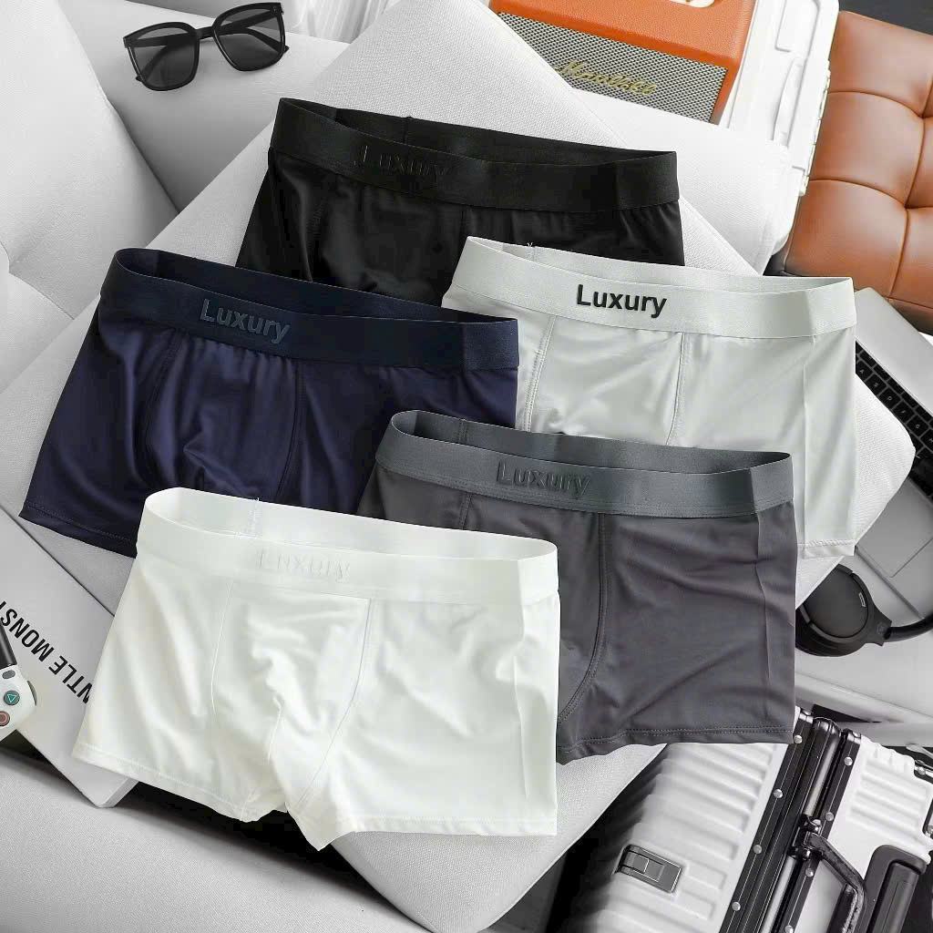 B552 - SET 5 QUẦN SỊP NAM LUXURY