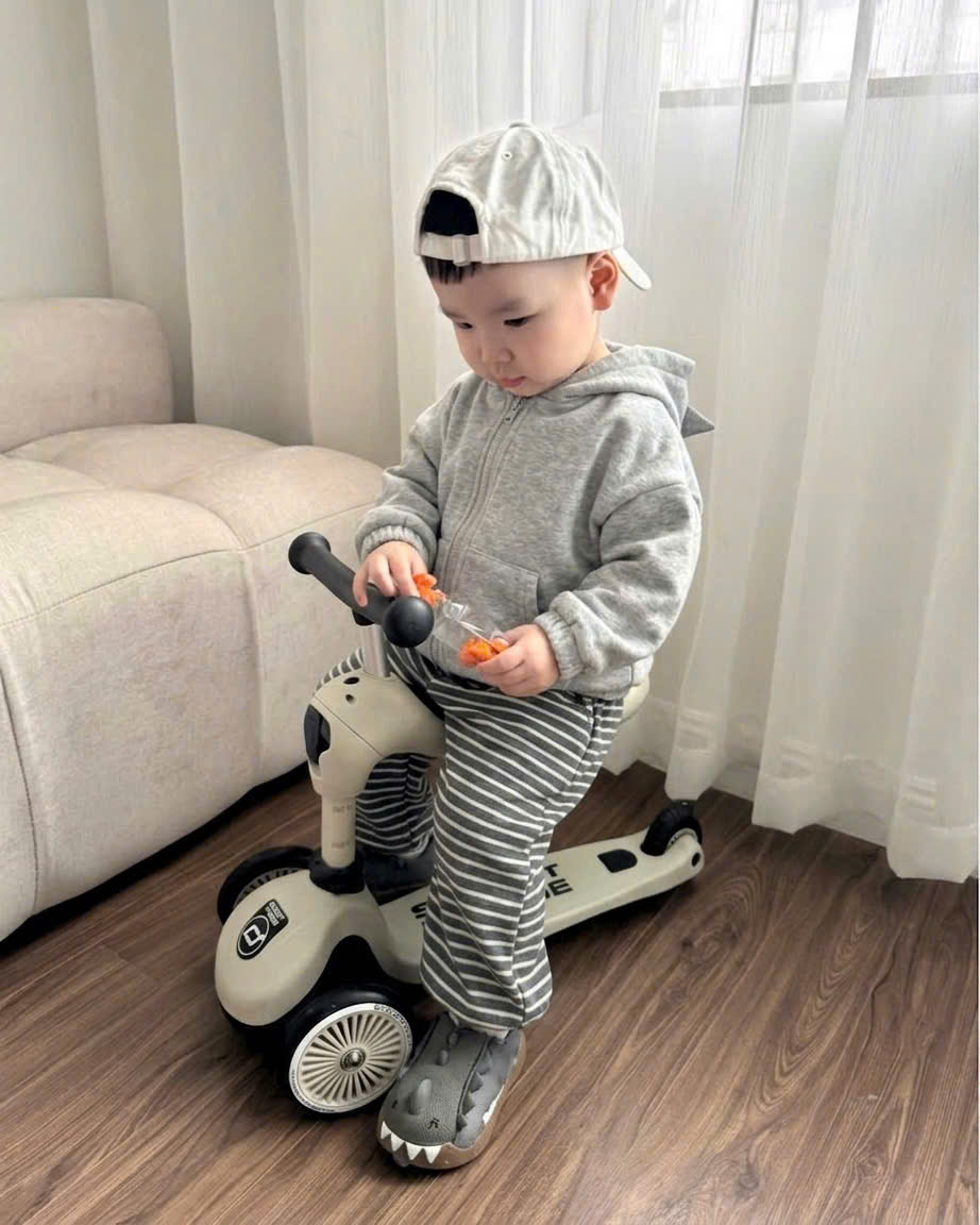 A855 - BỘ NỈ KHỦNG LONG XÁM