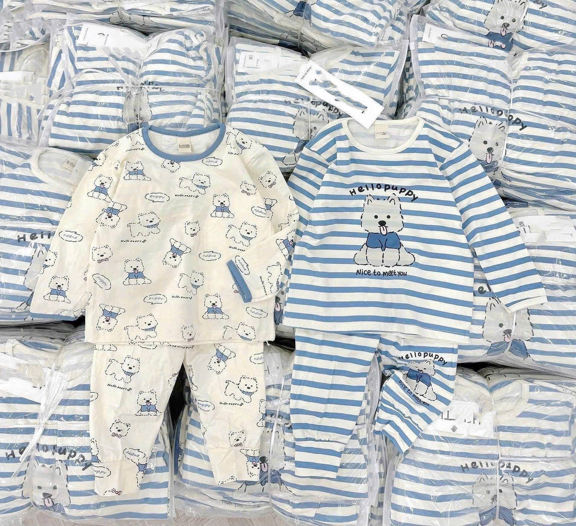 B564 - SET 2 BỘ GẤU XANH KẺ PUPPY /