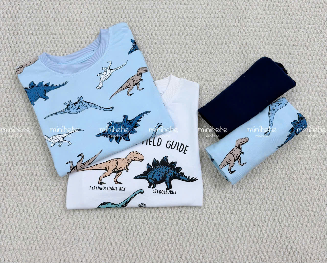 XẢ A104 - SET 2 BỘ KHỦNG LONG DINO XANH TRẮNG PHỐI