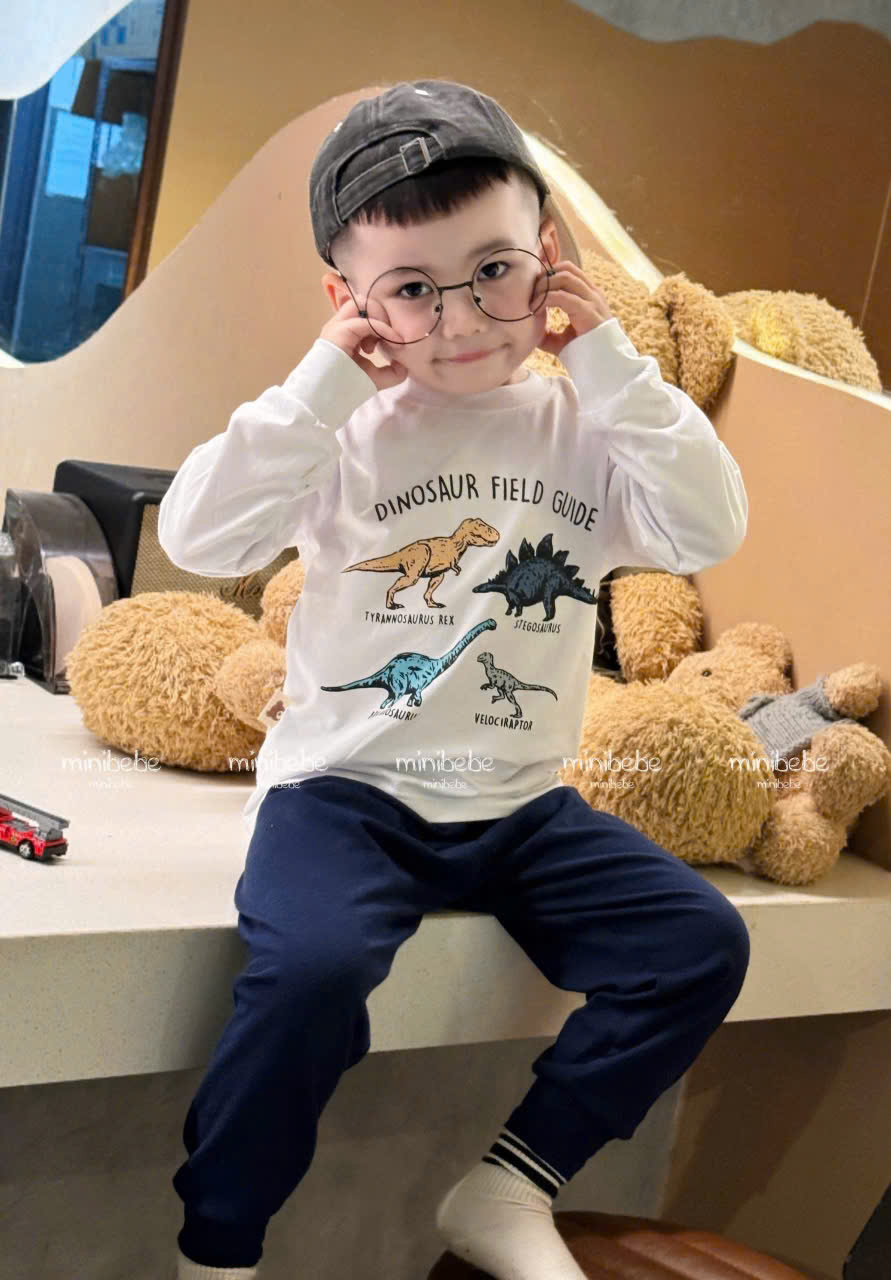 XẢ A104 - SET 2 BỘ KHỦNG LONG DINO XANH TRẮNG PHỐI