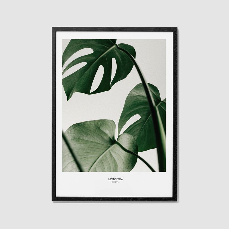 BOTANICAL - 019